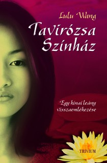 a könyv borítója