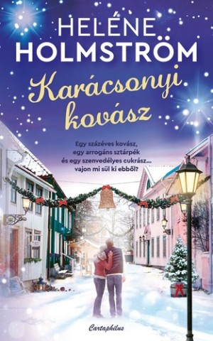 a könyv borítója