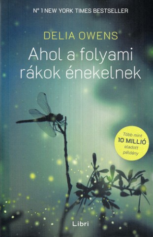 a könyv borítója
