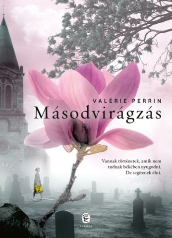 a könyv borítója