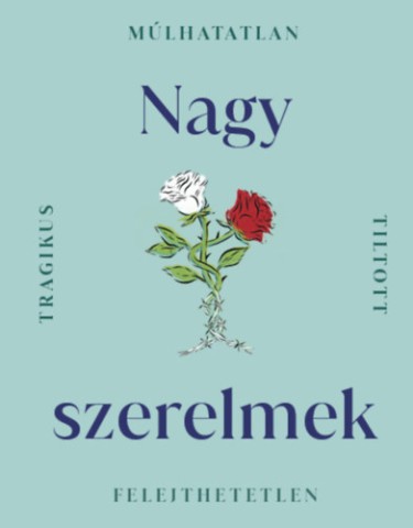 a könyv borítója