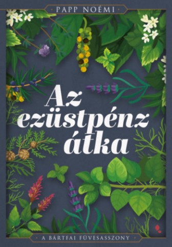 a könyv borítója