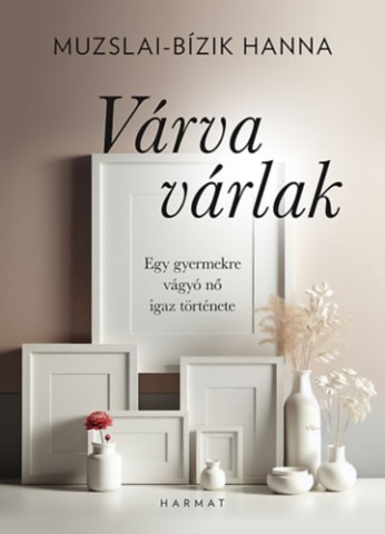 a könyv borítója