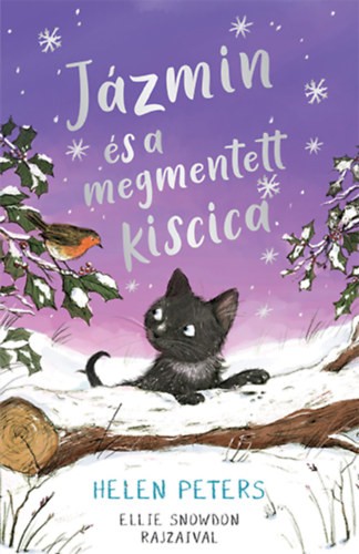 A könyv borítója