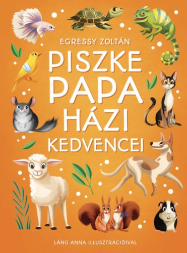 a könyv borítója