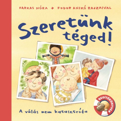 a könyv borítója