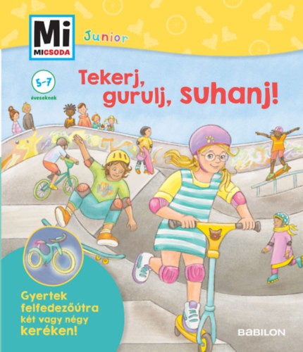 A könyv borítója