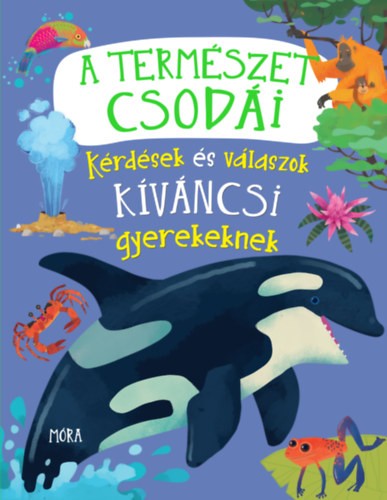 A könyv borítója