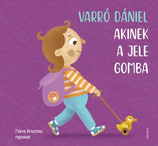 A könyv borítója