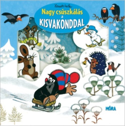 A könyv borítója