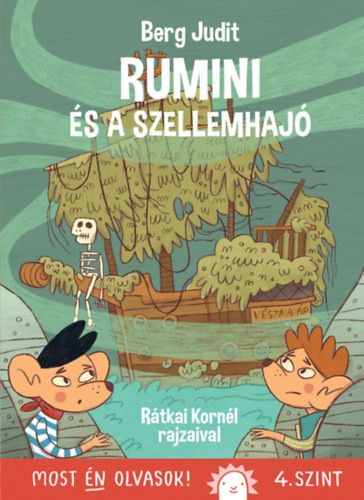 A könyv borítója