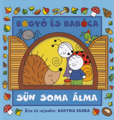 A könyv borítója