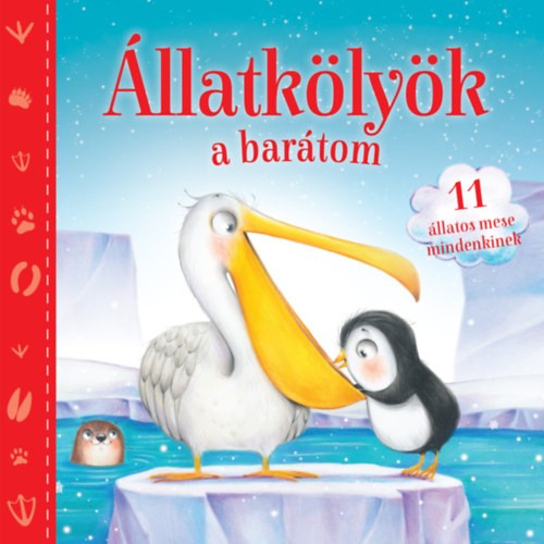 A könyv borítója