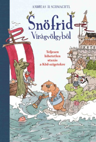 A könyv borítója