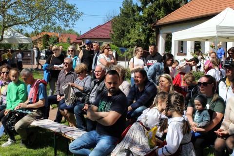 A közönség