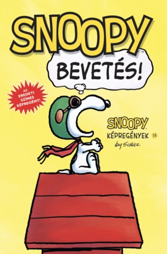 A könyv borítója