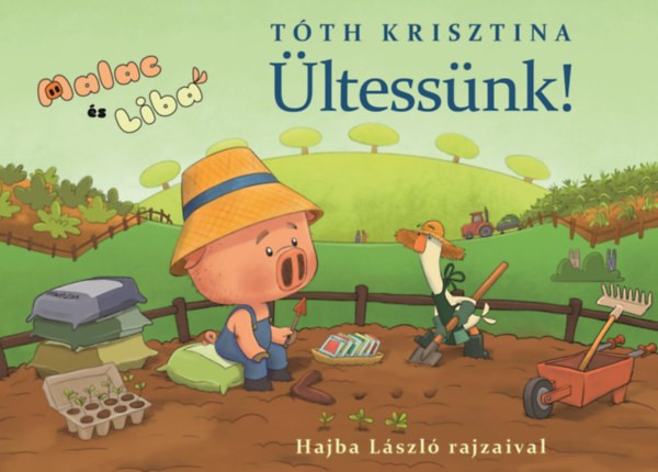 A könyv borítója