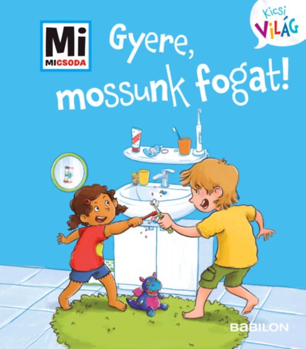 A könyv borítója