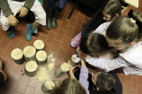 A napközisek lyukakat fúrnak a farönkökbe.