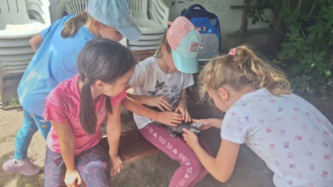 Kedd délután a lovasudvarba látogattunk el.