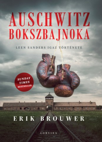 A könyv borítója