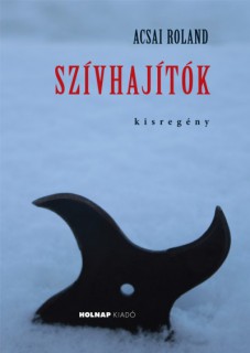 a könyv borítója