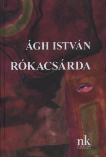 a könyv borítója