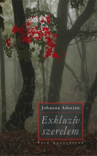 a könyv borítója