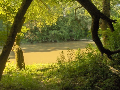 Tisza